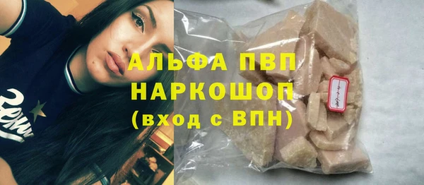 СК Белокуриха