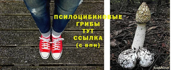 СК Белокуриха