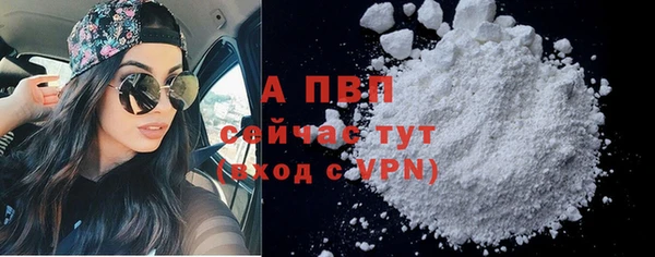 СК Белокуриха