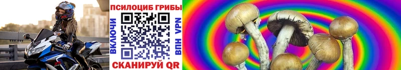 Галлюциногенные грибы GOLDEN TEACHER  Астрахань 